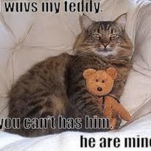 Meet your Posher, Debra